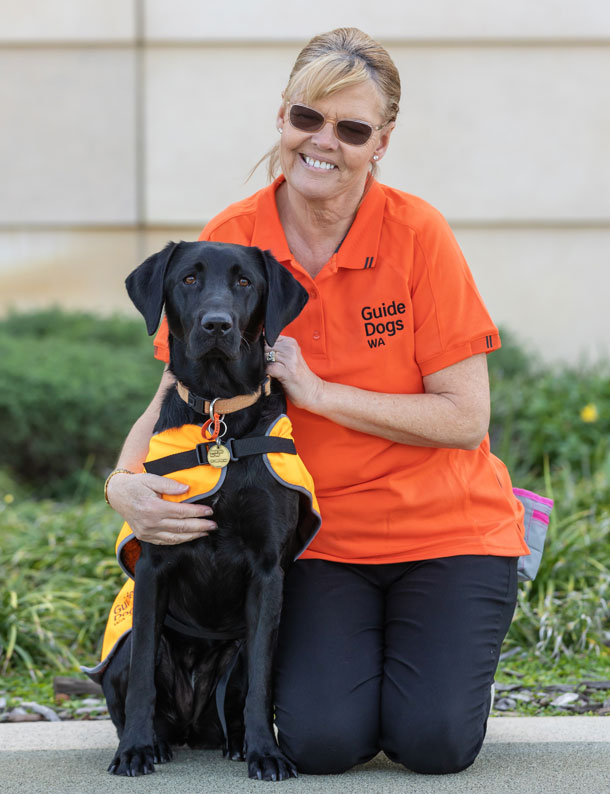 Image of a Guide Dogs in training with a Puppy Raiser.