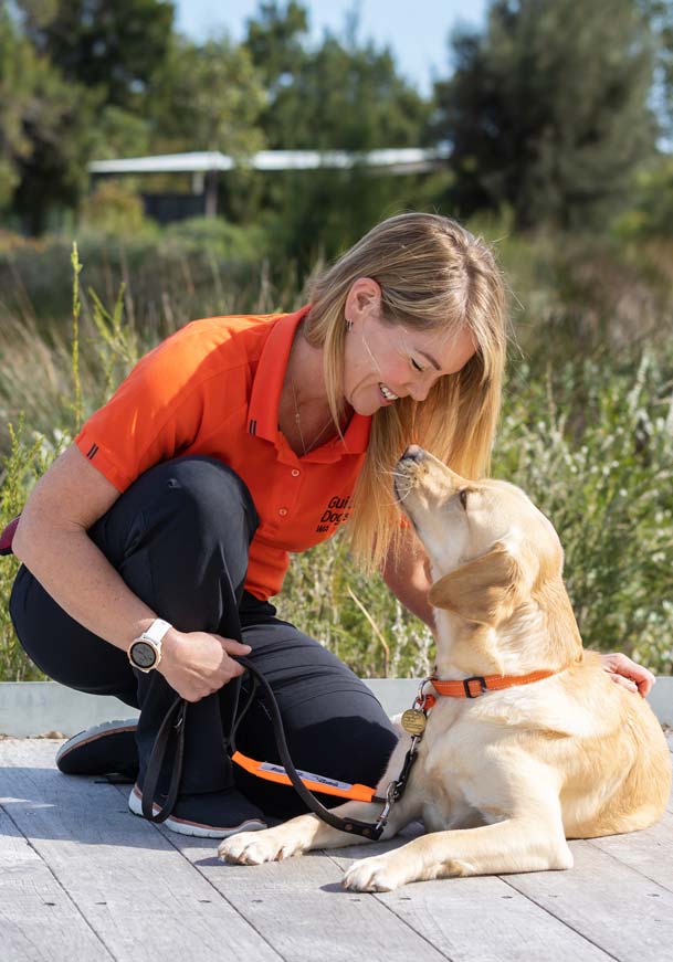 Guide Dog puppy in training sitting with a Guide Dog WA trainer.